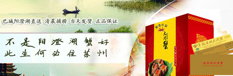 阳澄湖大闸蟹